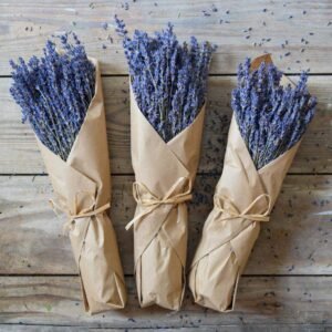 Royal Velvet Lavender Bundles for DIY Home Office Party